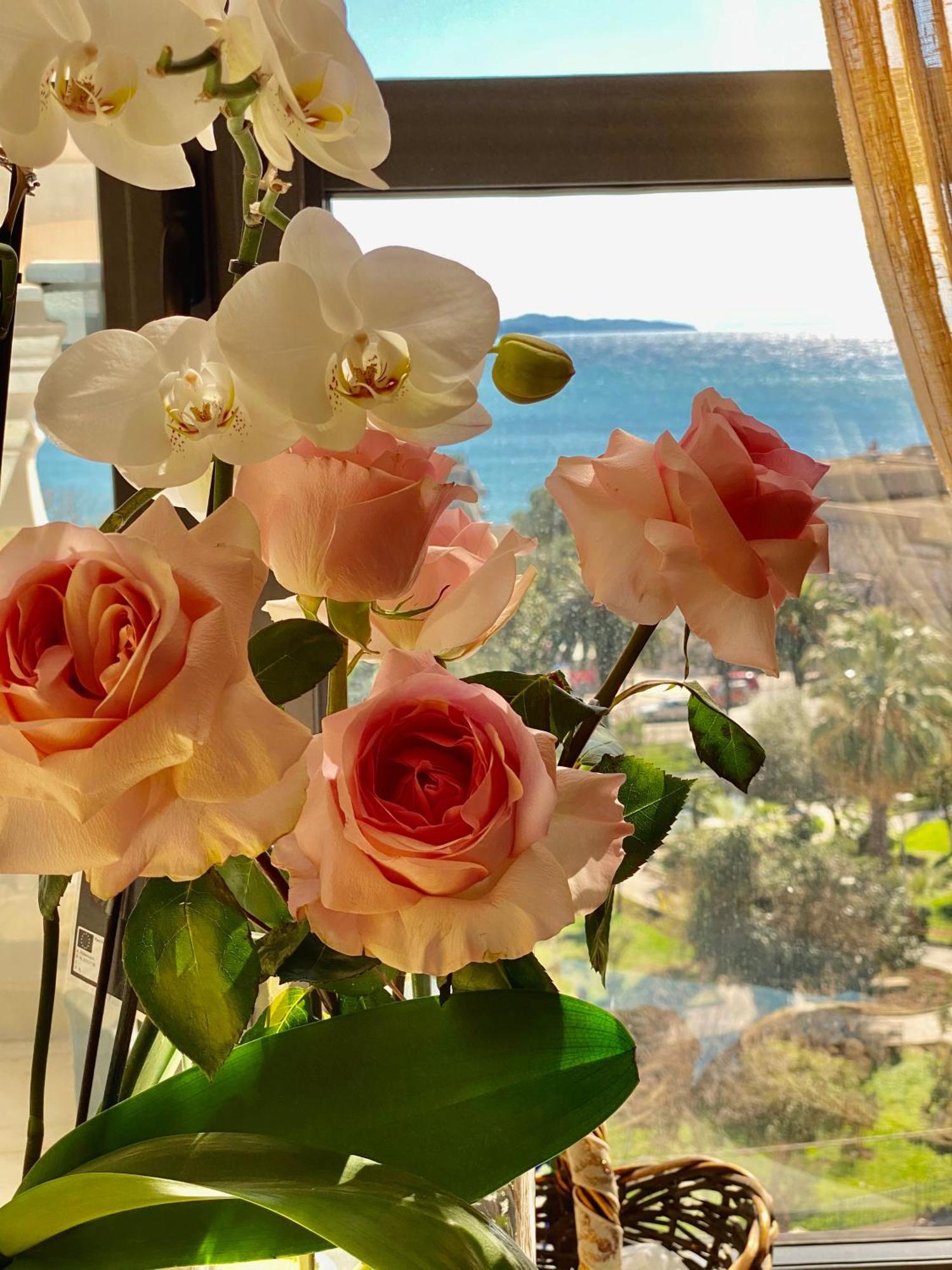 Amarilis Luxury Apartments Sarandë 外观 照片
